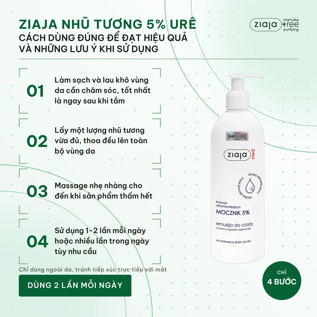 za09a-mota-cachdung.webp
